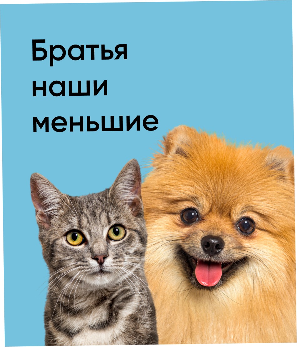 Братья наши меньшие
